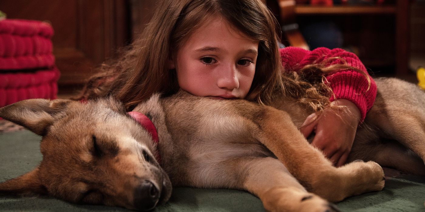 A sad Vicky hugs her sleeping dog, Mystery, in the movie Vicky and Her Mystery.