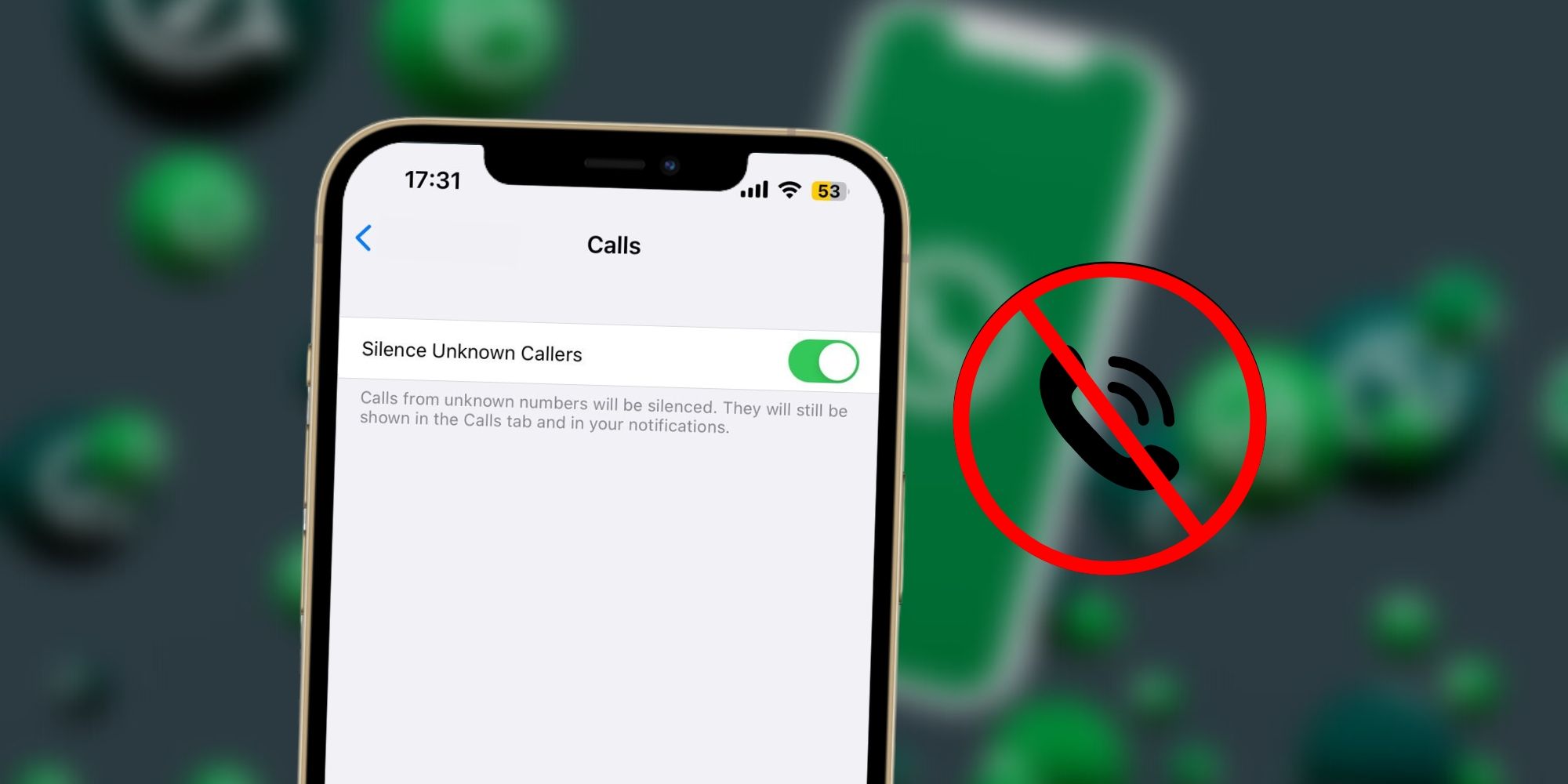 WhatsApp Silence Unknown Callers feature