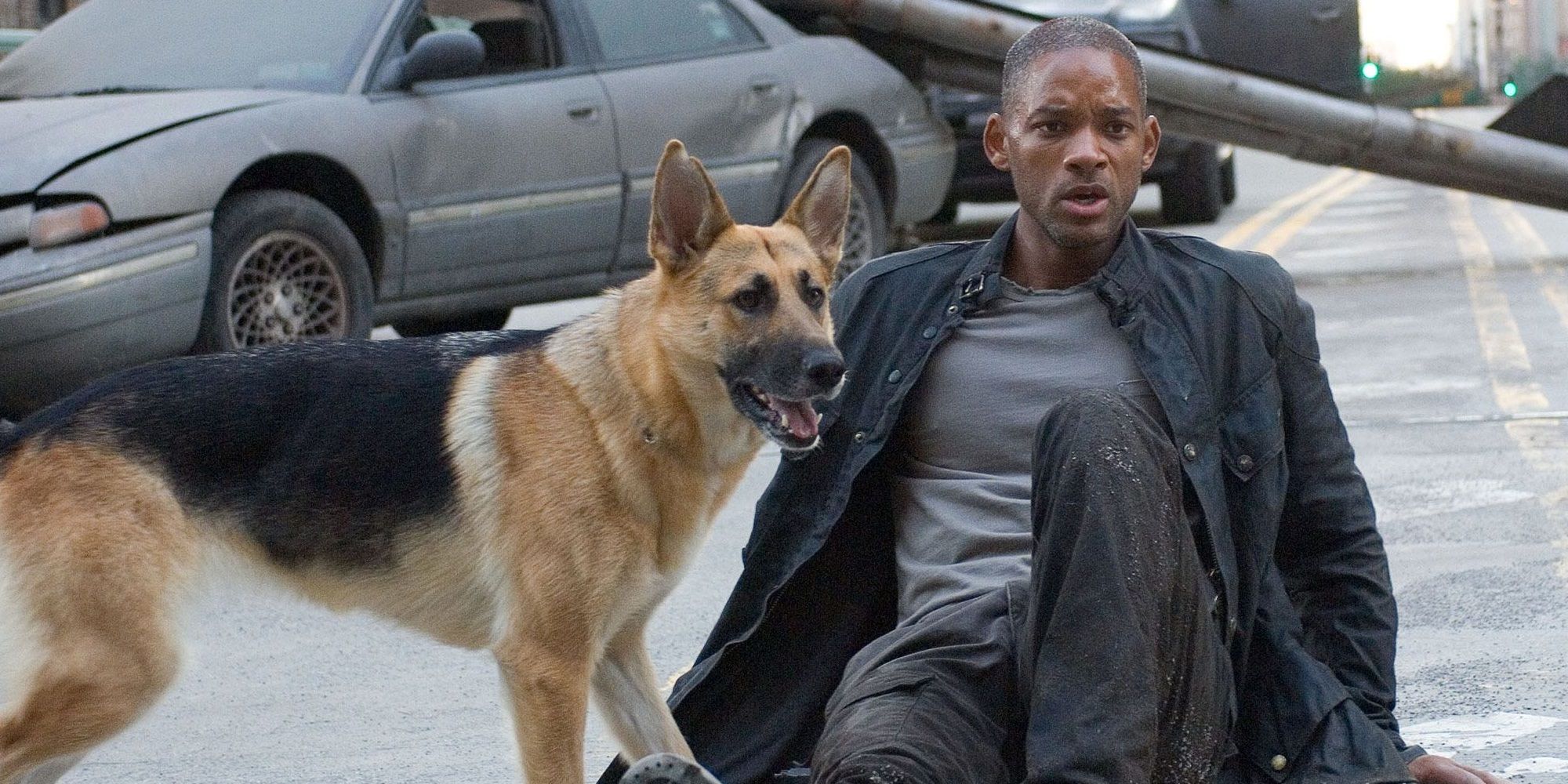 Nevill (Will Smith) lies on the street looking startled, but defended by his dog in I Am Legend.