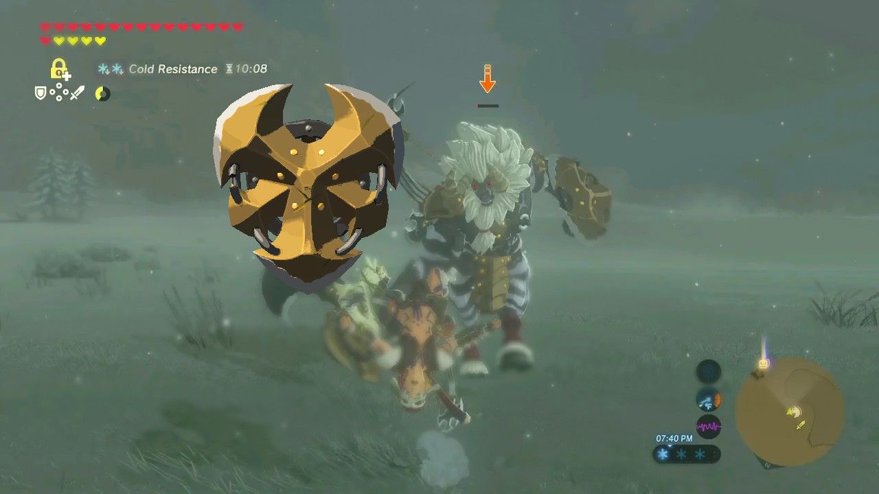 Zelda Lágrimas Del Reino Salvaje Lynel Shield