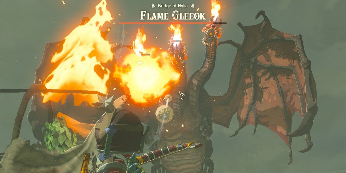 Link menembakkan sepasang panah Keese Eyeball ke arah Flame Gleeok di The Legend of Zelda: Tears of the Kingdom.