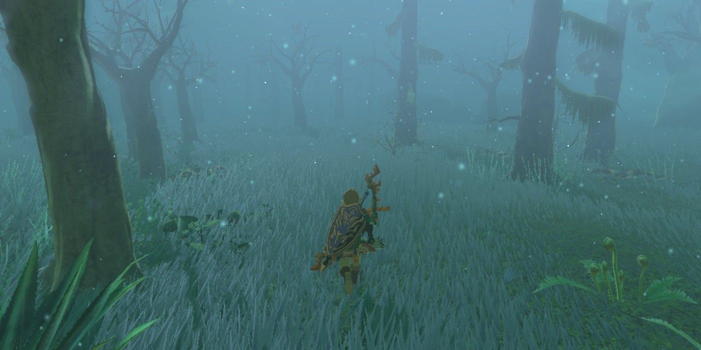 Zelda Game “Tears of the Kingdom’s Lost Woods Solution” Makes Its Debut