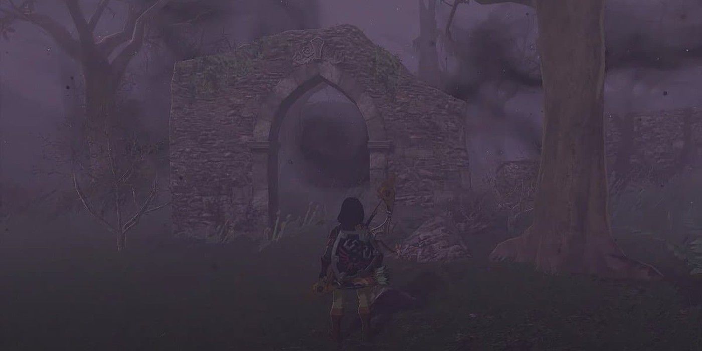 Tautan melihat pintu masuk ke Hutan Hilang yang diselimuti Kegelapan di The Legend of Zelda: Tears of the Kingdom.