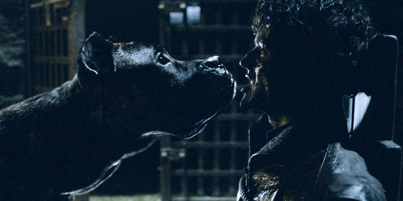 A dog attacks Ramsay in Game of Thrones
