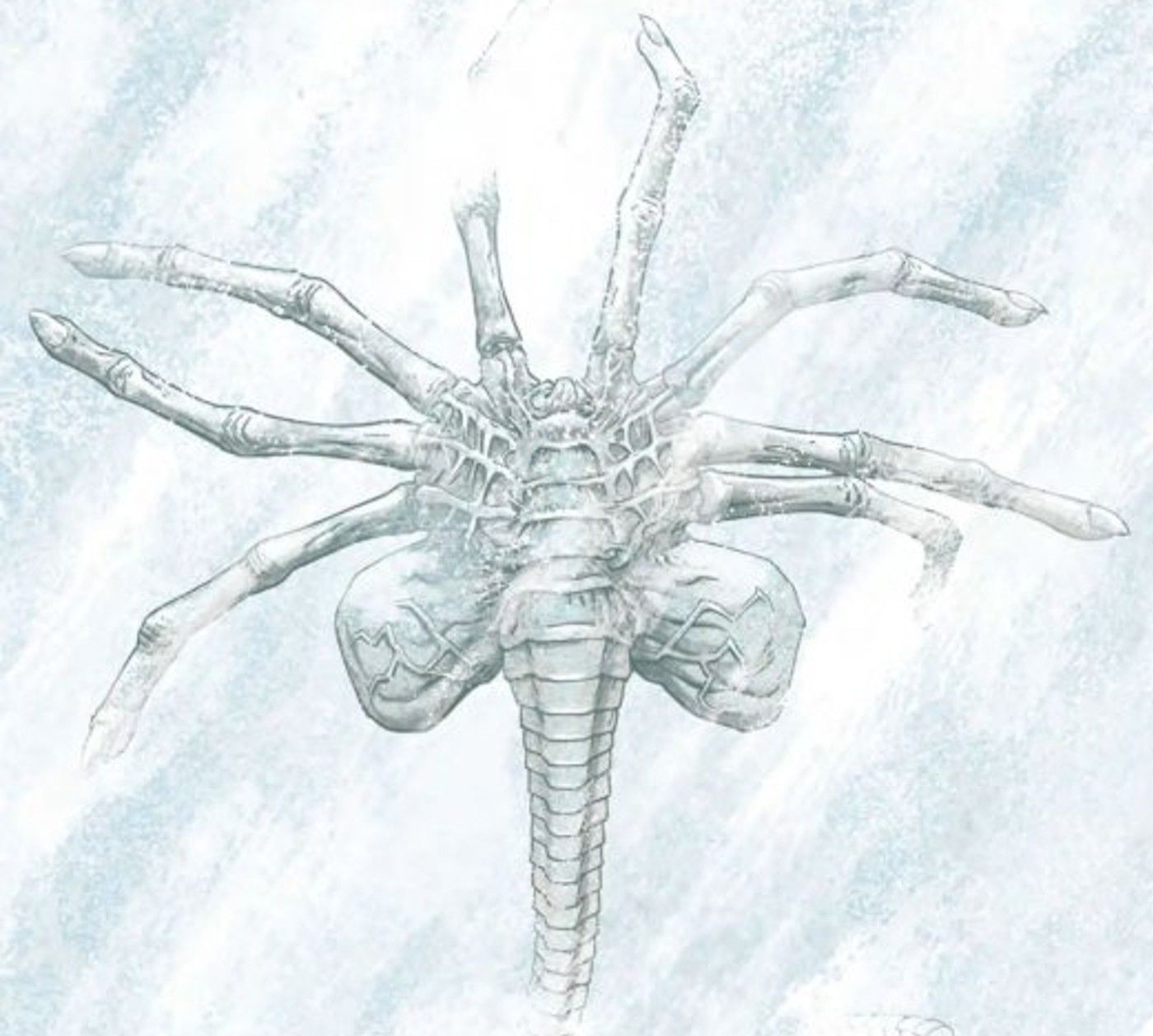 alien white facehugger 2