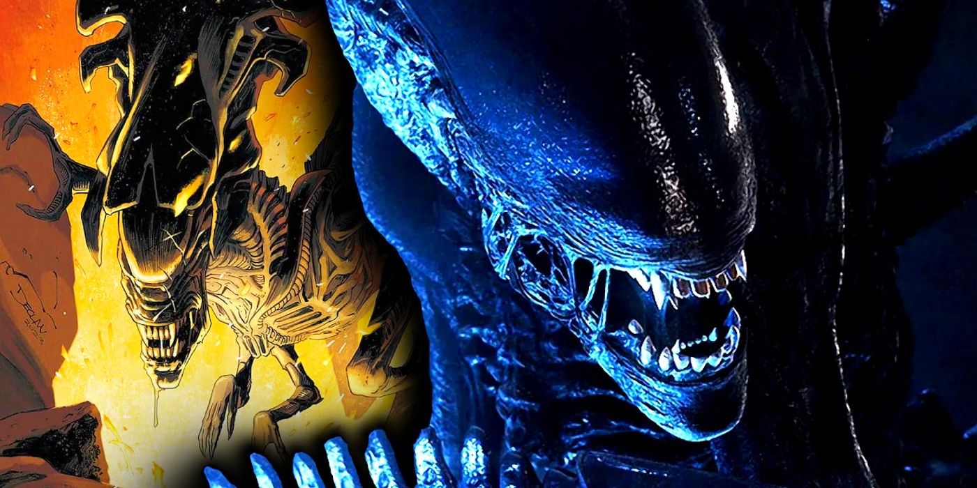 Every Type Of Xenomorph In The Alien Franchise Explained, 58% OFF