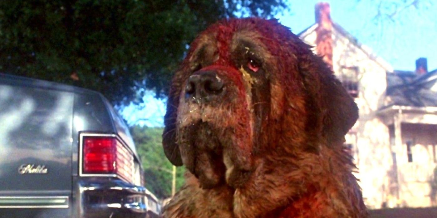 Obraz przedstawiający psa Cujo pokrytego krwią