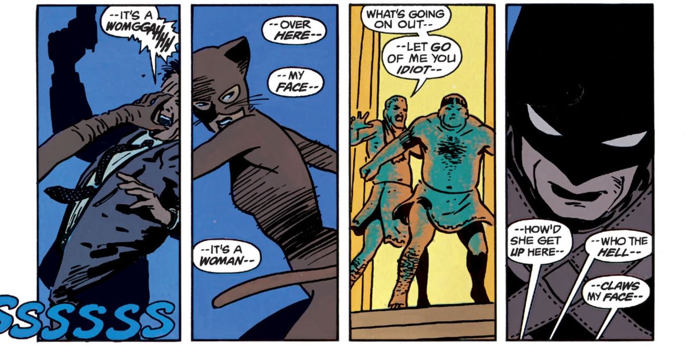 Batman Sees Catwoman DC
