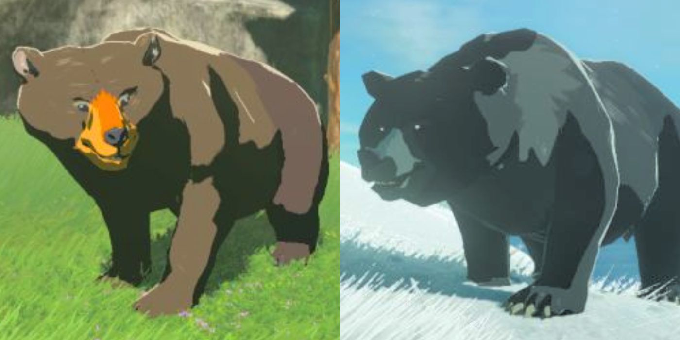 Um urso Honeyvore ao lado de um Grizzlemaw Bear em Tears of the Kingdom.