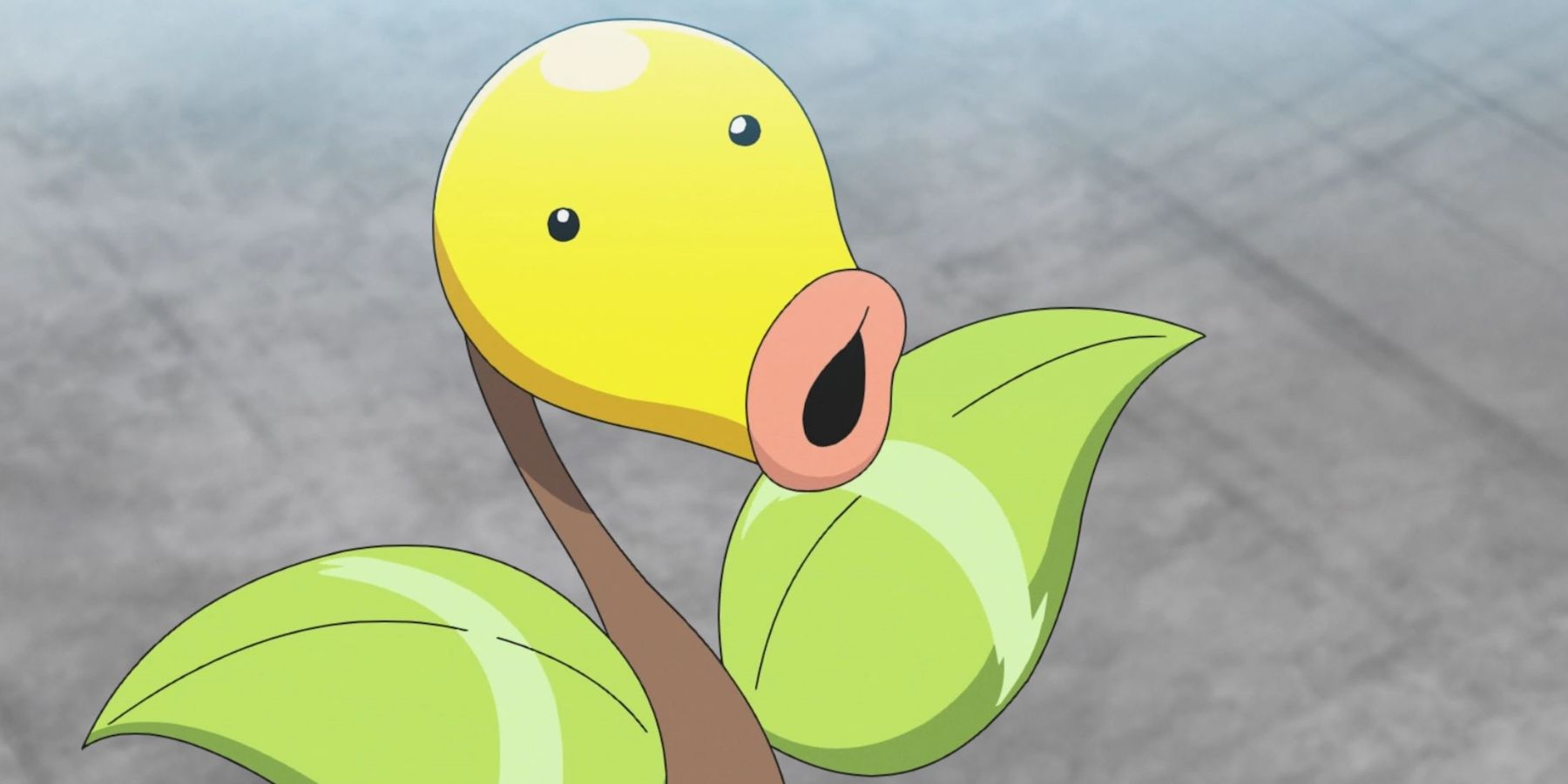 Bellsprout from Pokemon, looking surprised on a grey background