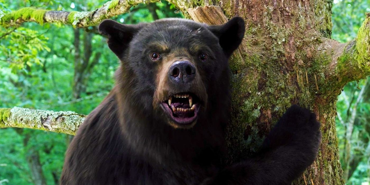 A black bear climbing a tree in Cocaine Bear