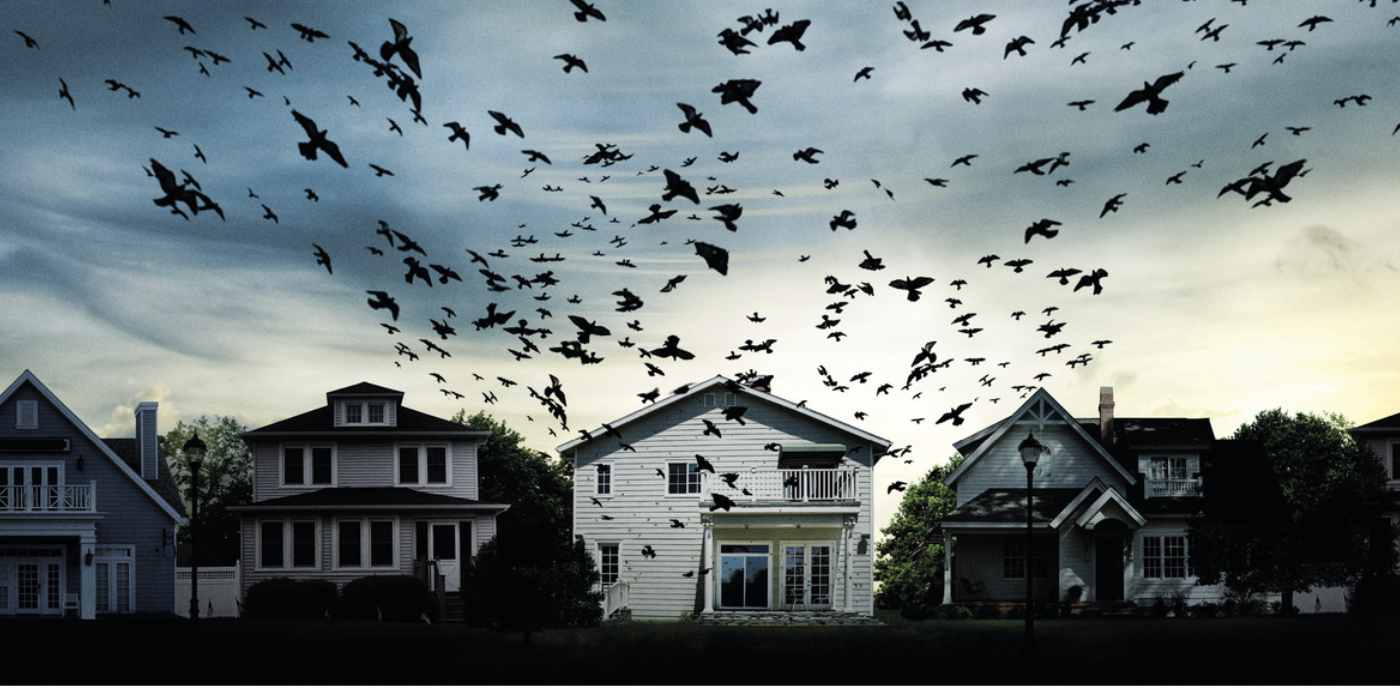 Dark Skie&rsquo;s Birds Invasion