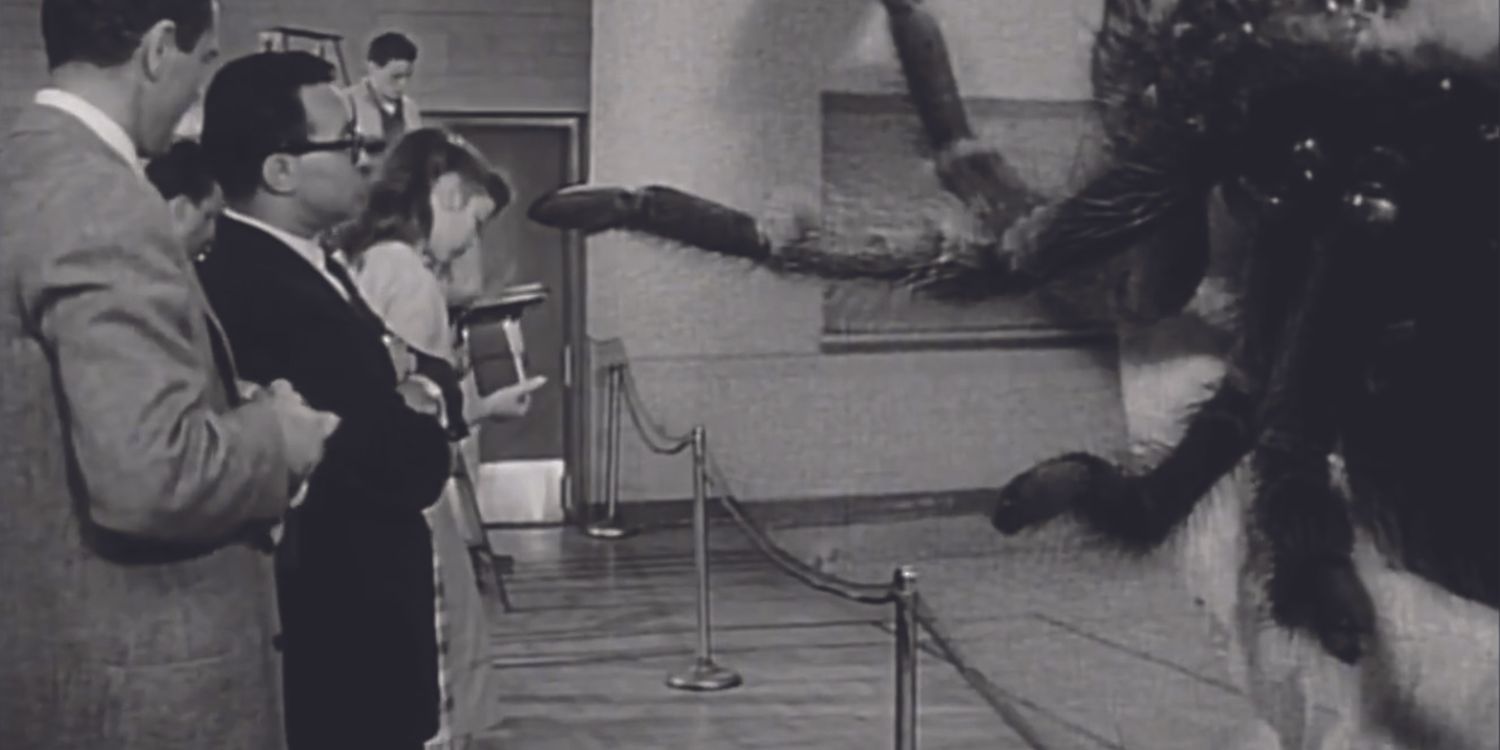 The high school camera club takes pictures of the giant monster in Earth Vs. The Spider