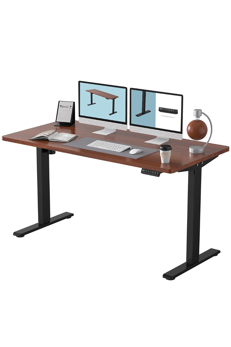 FlexiSpot EN1 Standing Desk