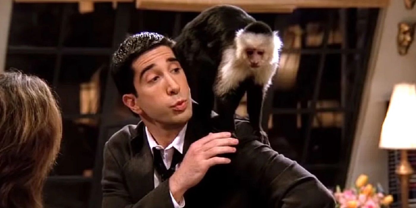 Ross e Marcel o macaco em Friends