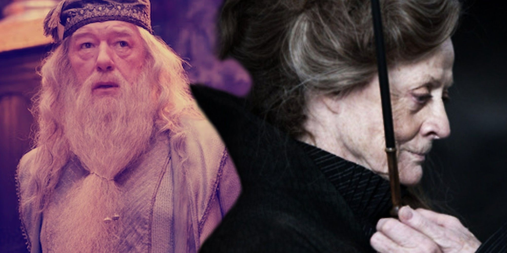 Harry-Potter-McGonagall-Dumbledore