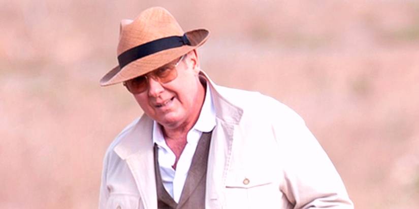 James Spader as Red Reddington in a Field in the Blacklist Series Finale