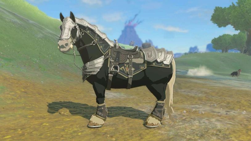 All 12 Bridles & Saddles In Zelda: TOTK, Ranked