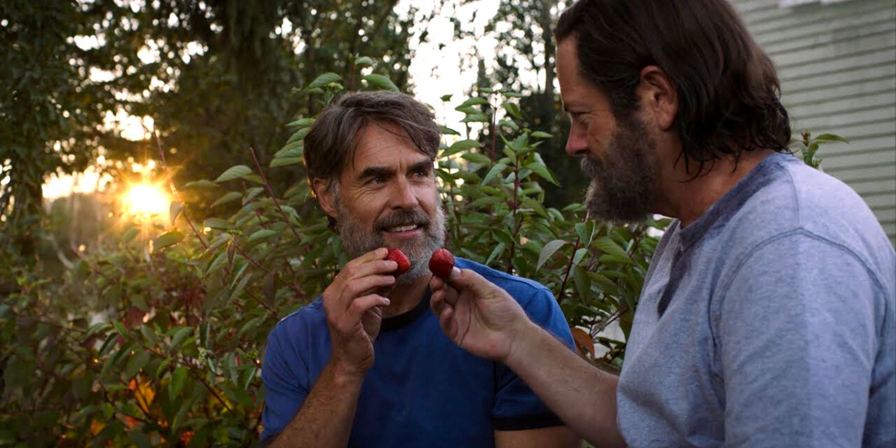 Nick Offerman and Murray Bartlett as Bill and Frank in the strawberry scene from The Last of Us episode 3