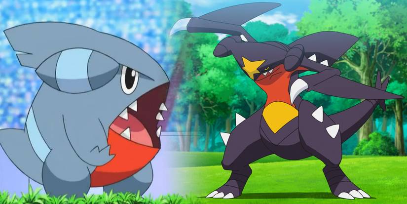 Pokemon: Gible and Garchomp facing off against each other