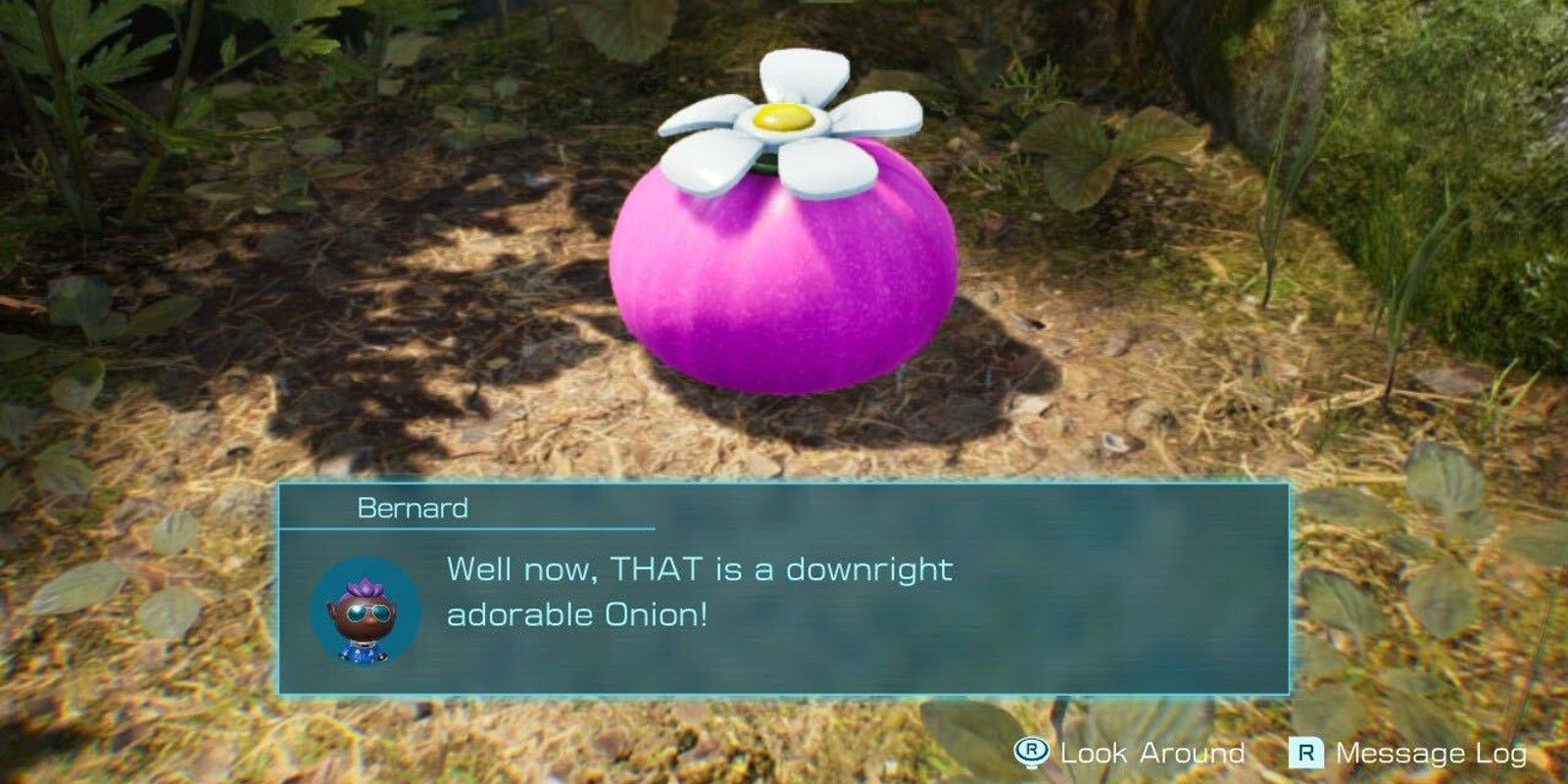 purple onion pikmin 4