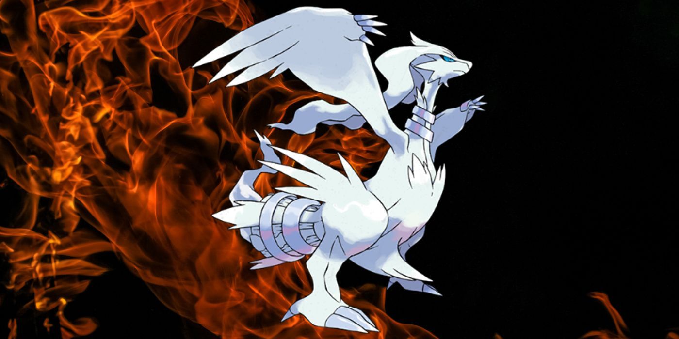 Reshiram with a firey background from Pokémon Scarlet & Violet Indigo Disk DLC