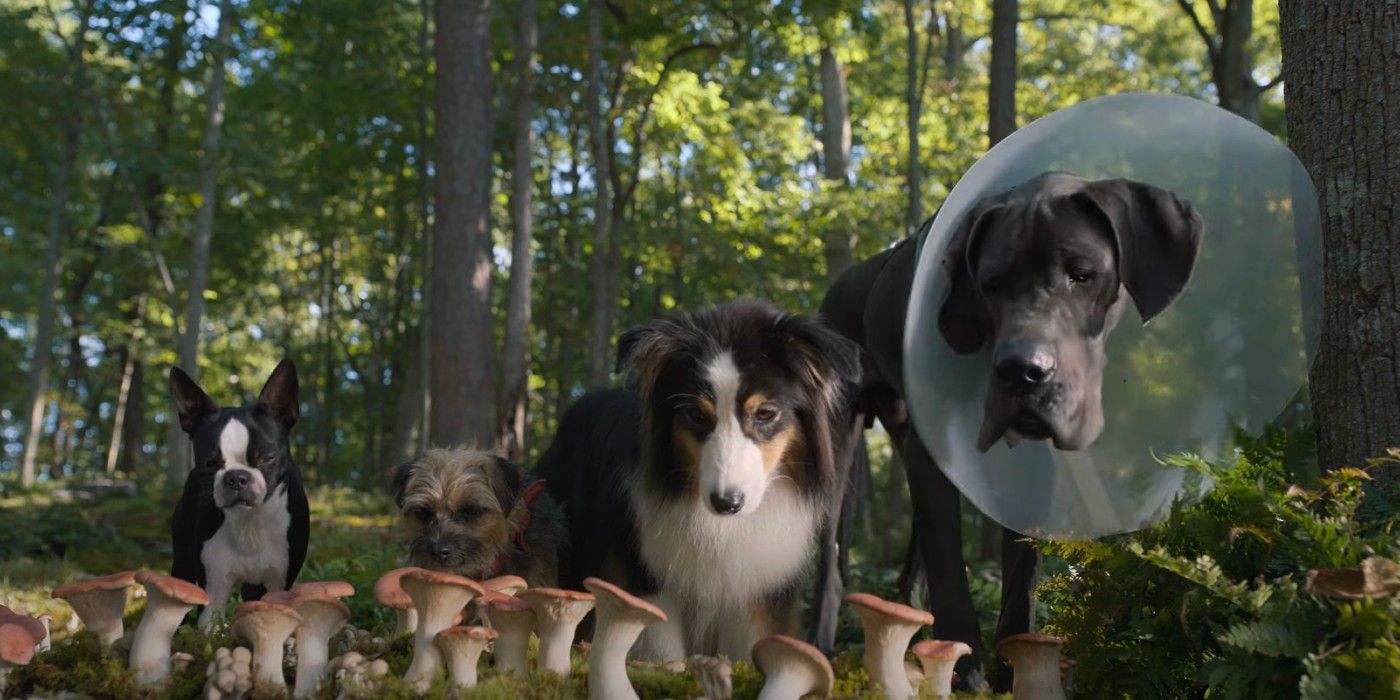 dogs in the Strays movie trailer