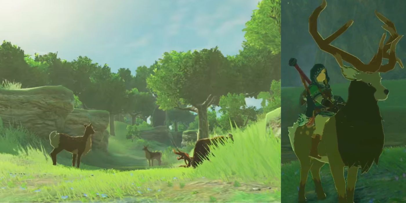Um grupo de veados e Link montando um veado em Zelda: Breath of the Wild.