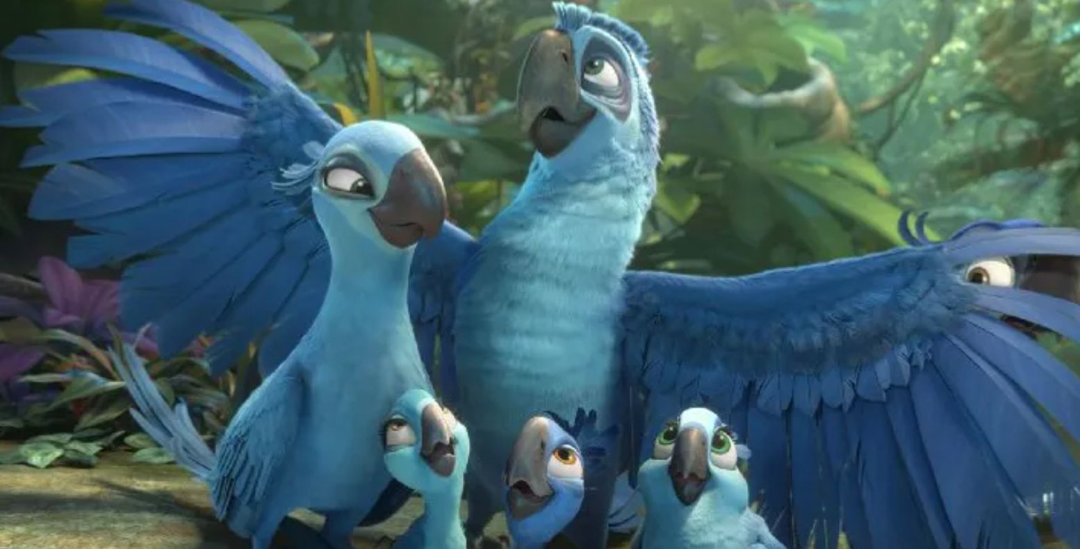 The bird family together in Rio 2