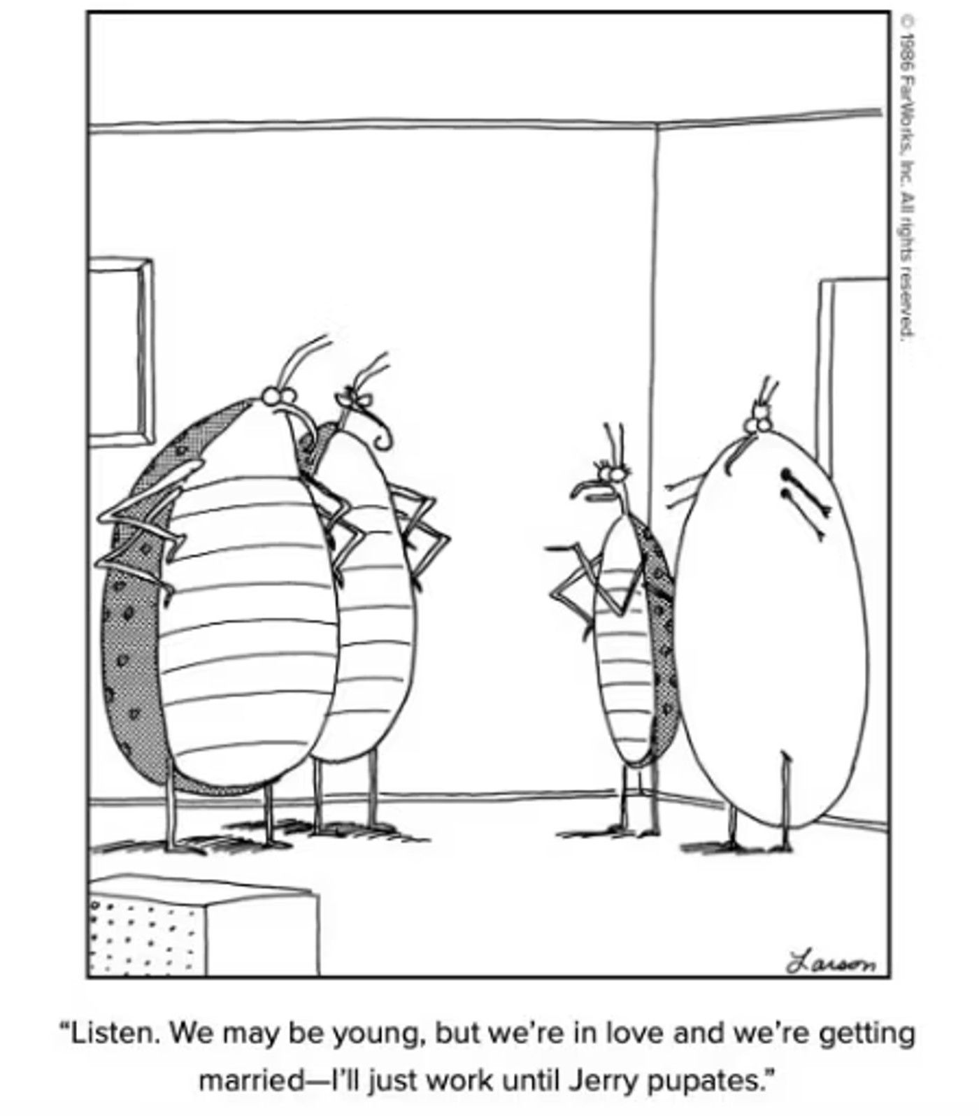 the far side bug comic