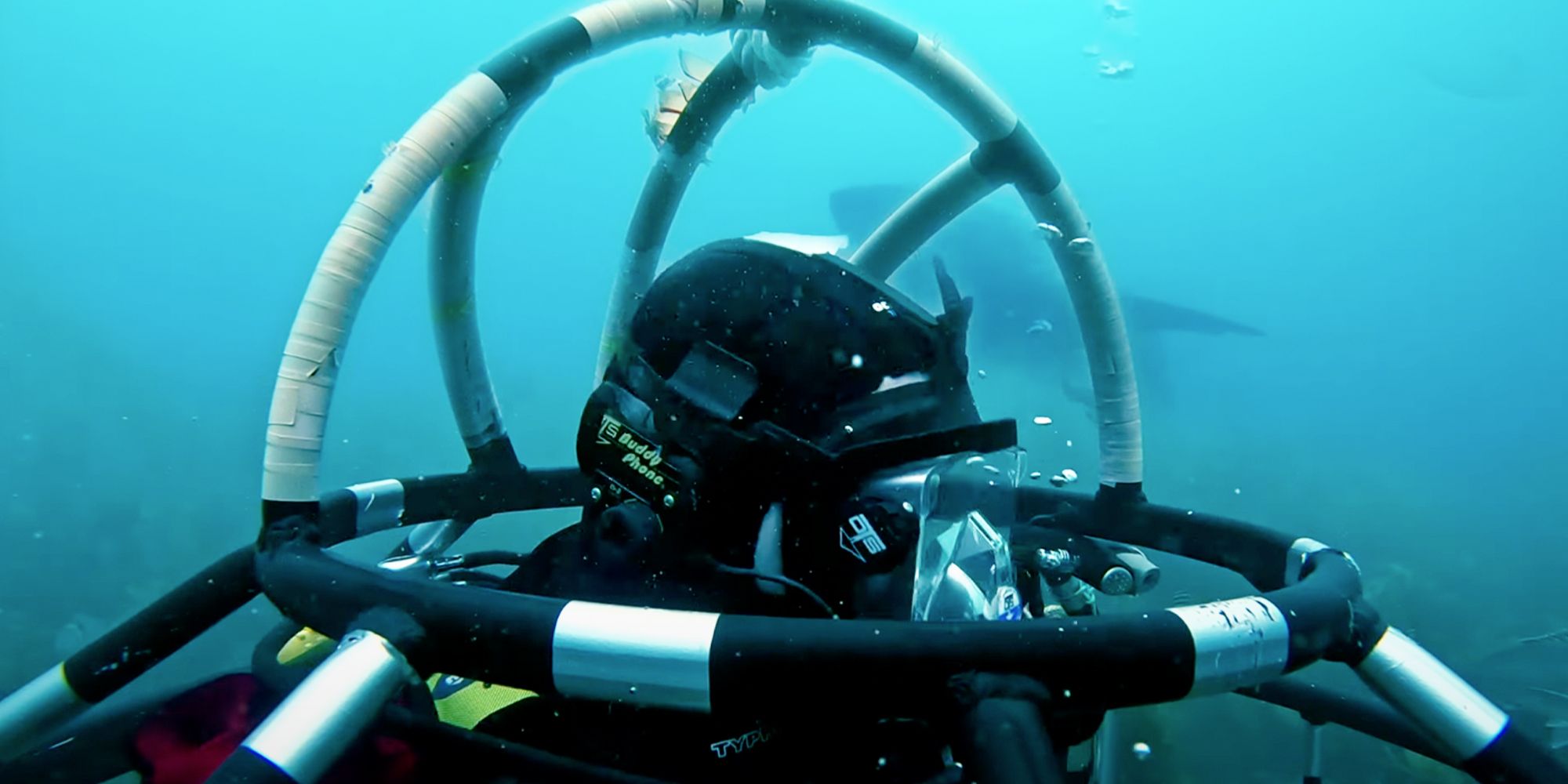 Jaw-Dropping Showdown: Inside Shark Week's Cocaine-Infused Sharks and the Terrifying Great White Fight Club