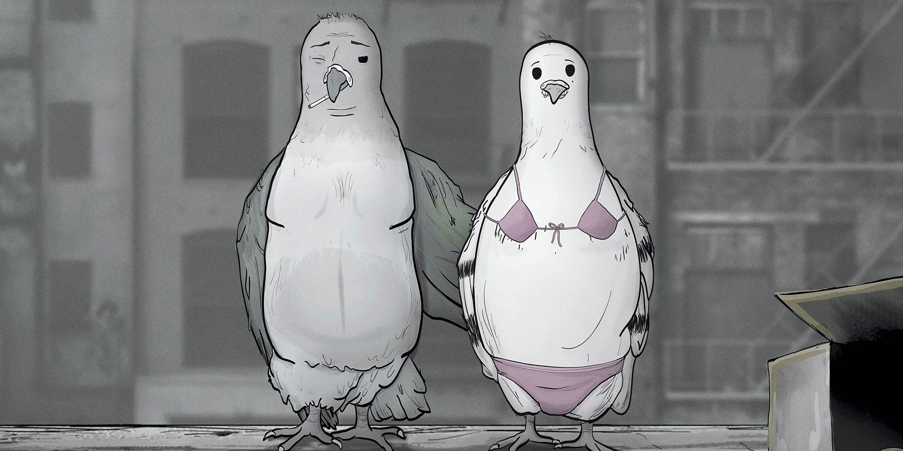 Two pigeons hanging out in Animals
