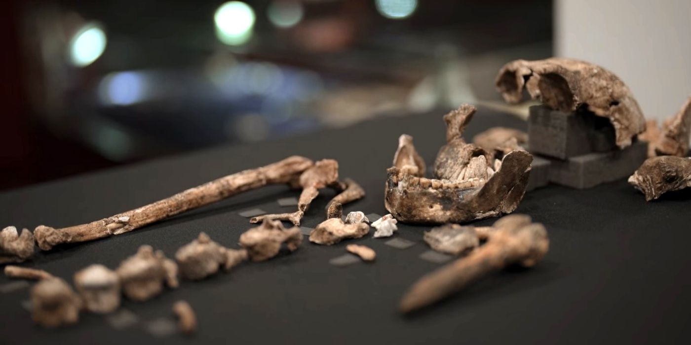 Homo Naledi bones in the Netflix documentary, Unknown: Cave of Bones.