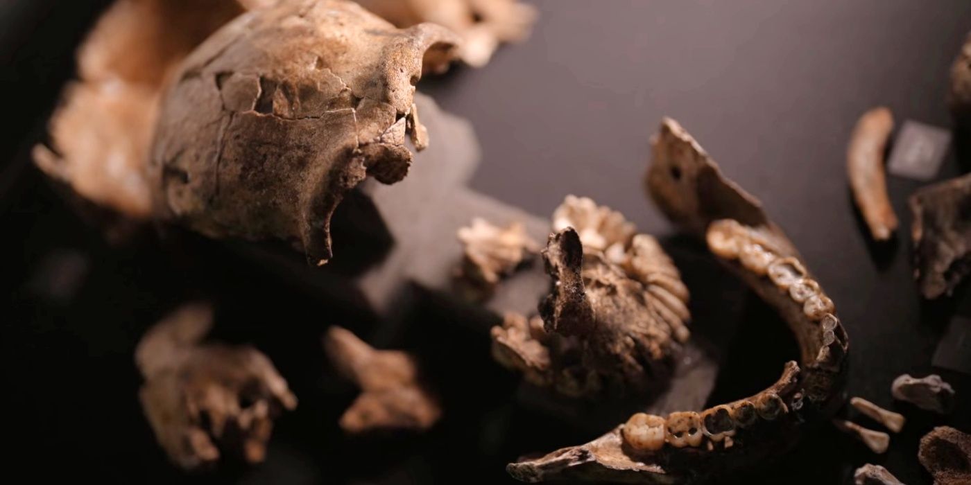 Homo Naledi bones in the Netflix documentary, Unknown: Cave of Bones.