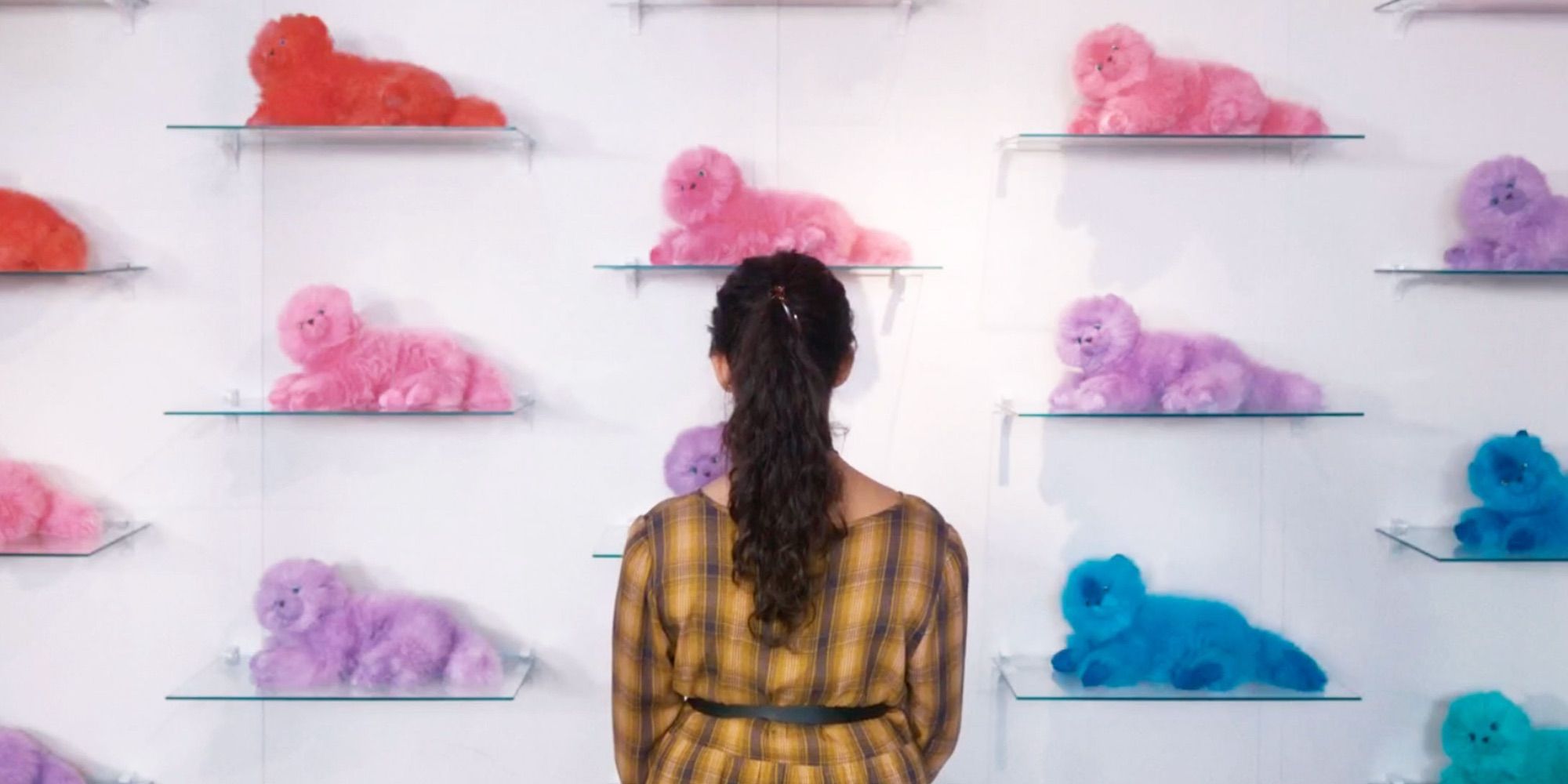 Viswanathan_The Beanie Bubble