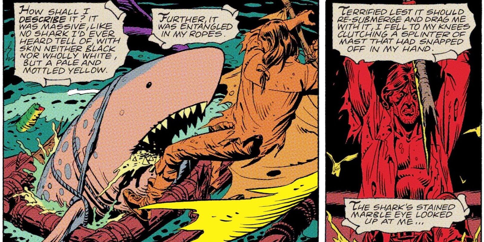 Pirate battles a shark in Watchmen comic