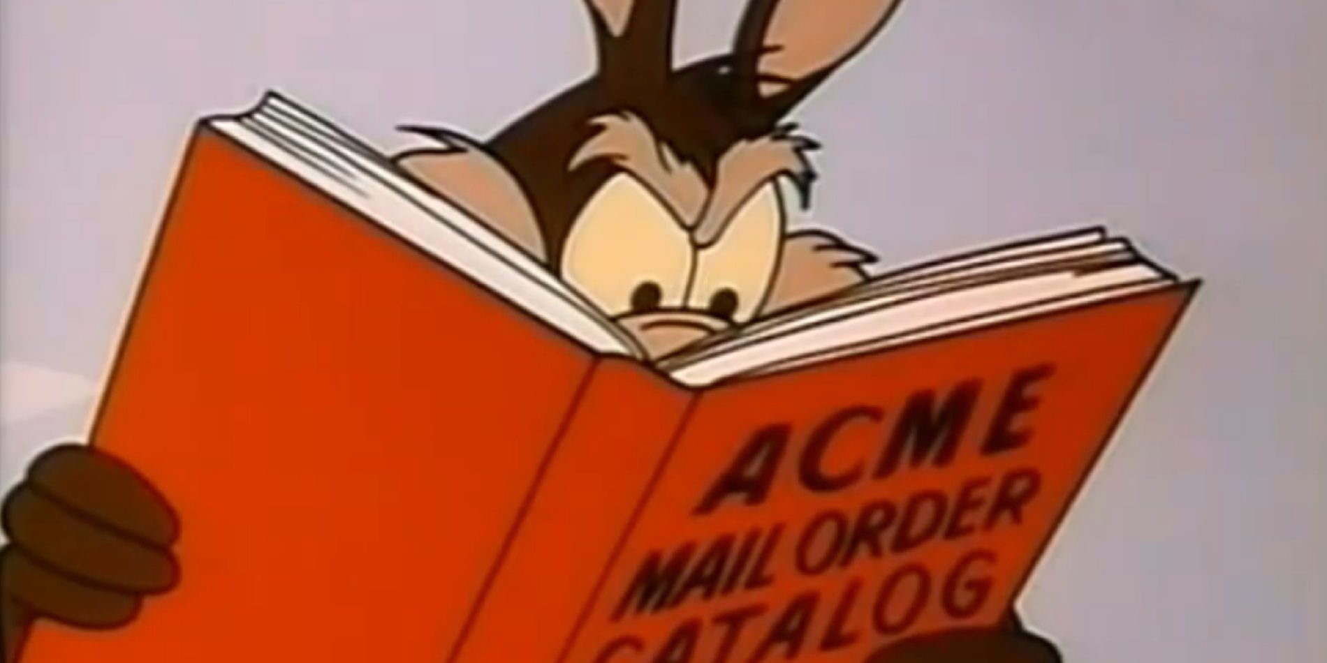 Wile E Coyote reads an Acme catalog in Looney Tunes