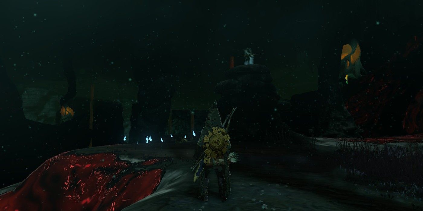 Link looks out at the scenery in the Depths in The Legend of Zelda: Tears of the Kingdom, including Poes, a ghostly Shadow Soldier, and two inactivate Lightroots.