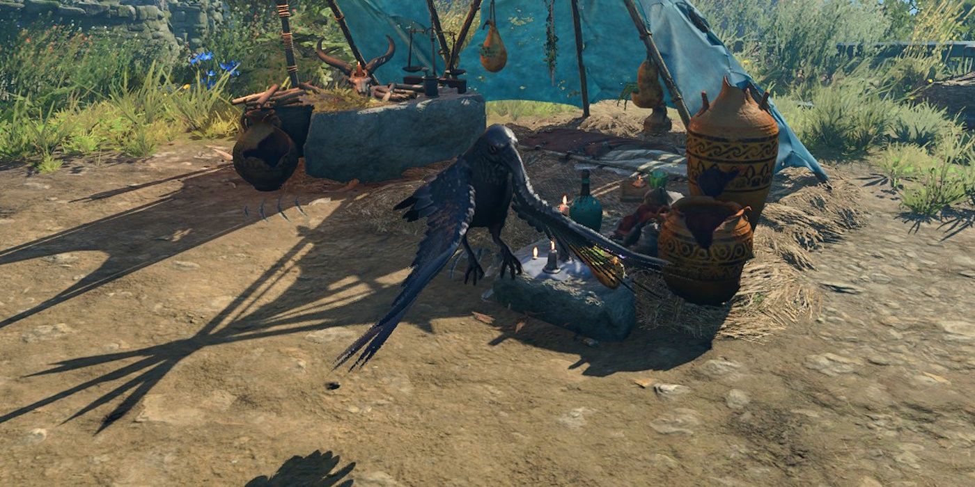 Baldur's Gate 3 Dire Raven Wild Shape flies in place in camp.