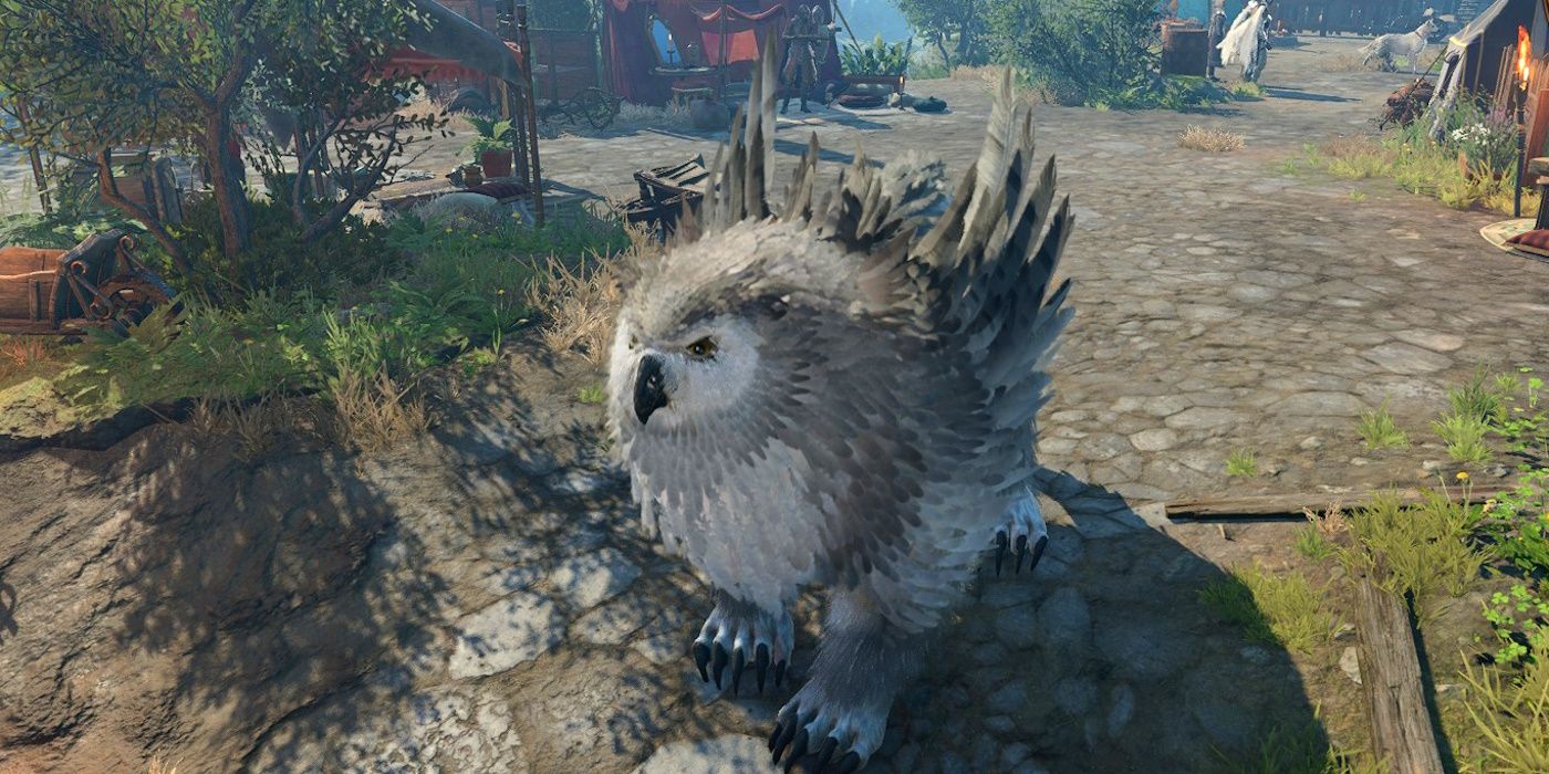 Baldur's Gate 3 Owlbear Wild Shape stands proudly in camp