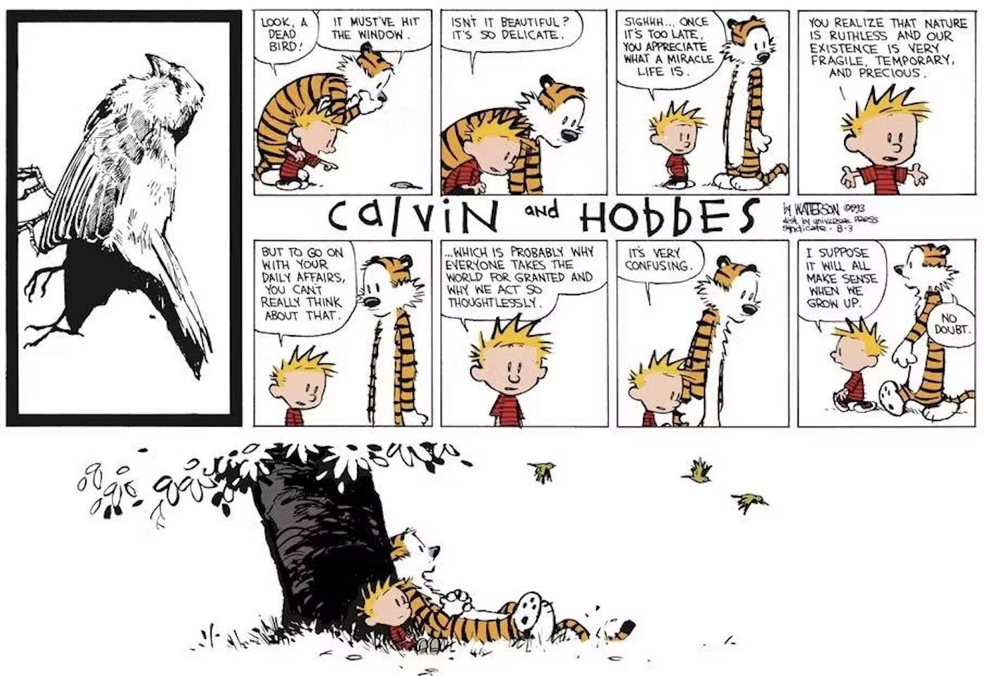 Calvin e Hobbes Pássaro Morto-1