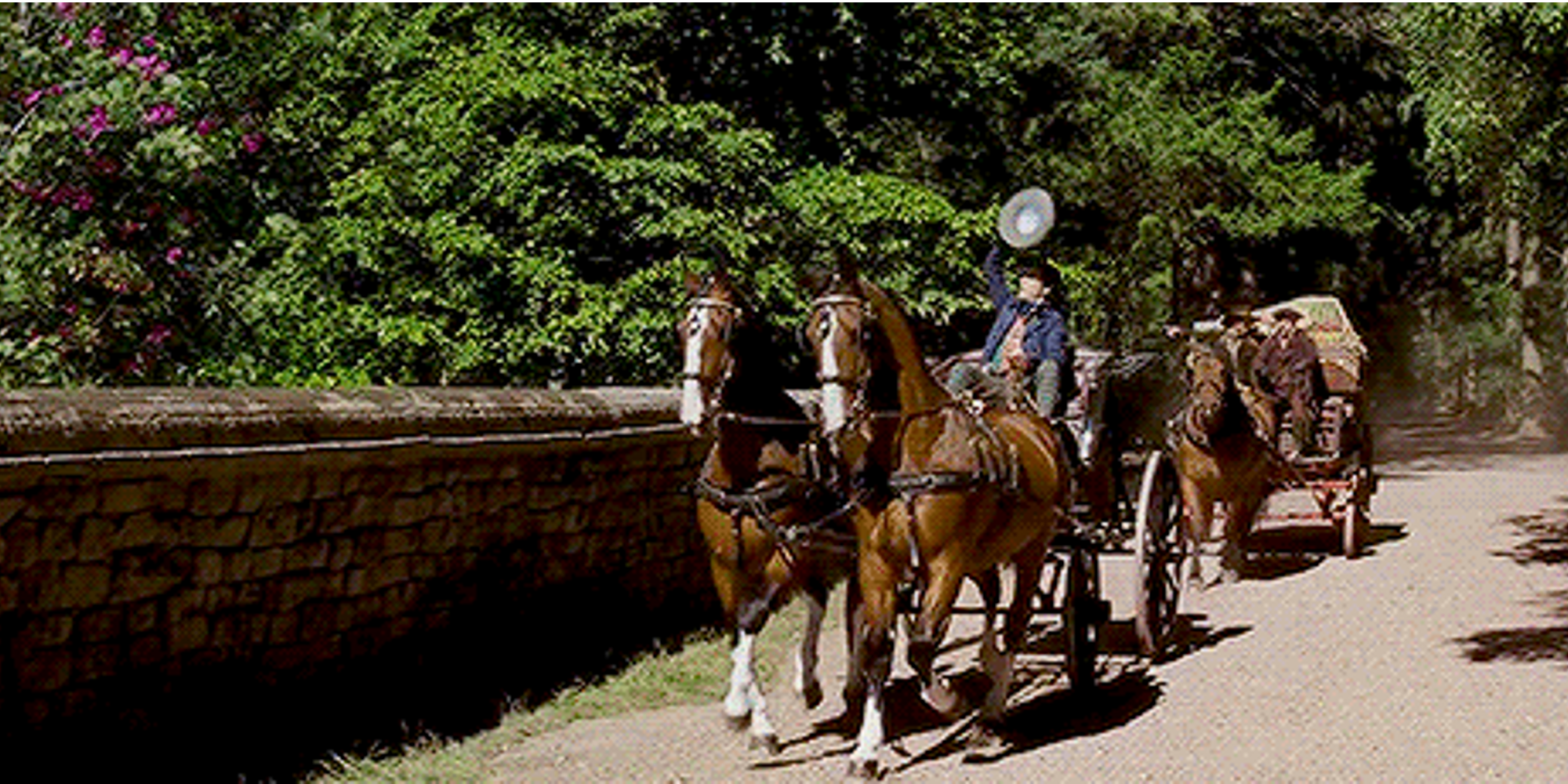 Cinderella-Father-Horses