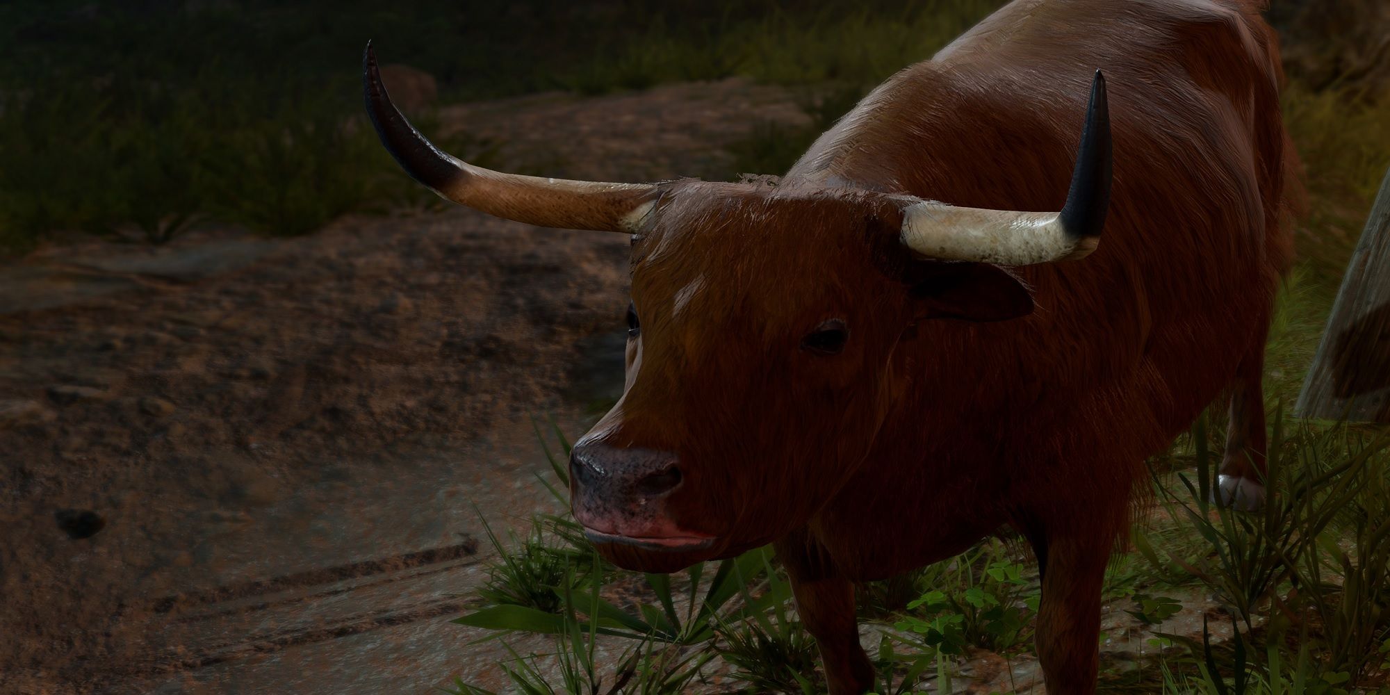 Close Up of the Strange Ox in Baldur's Gate 3