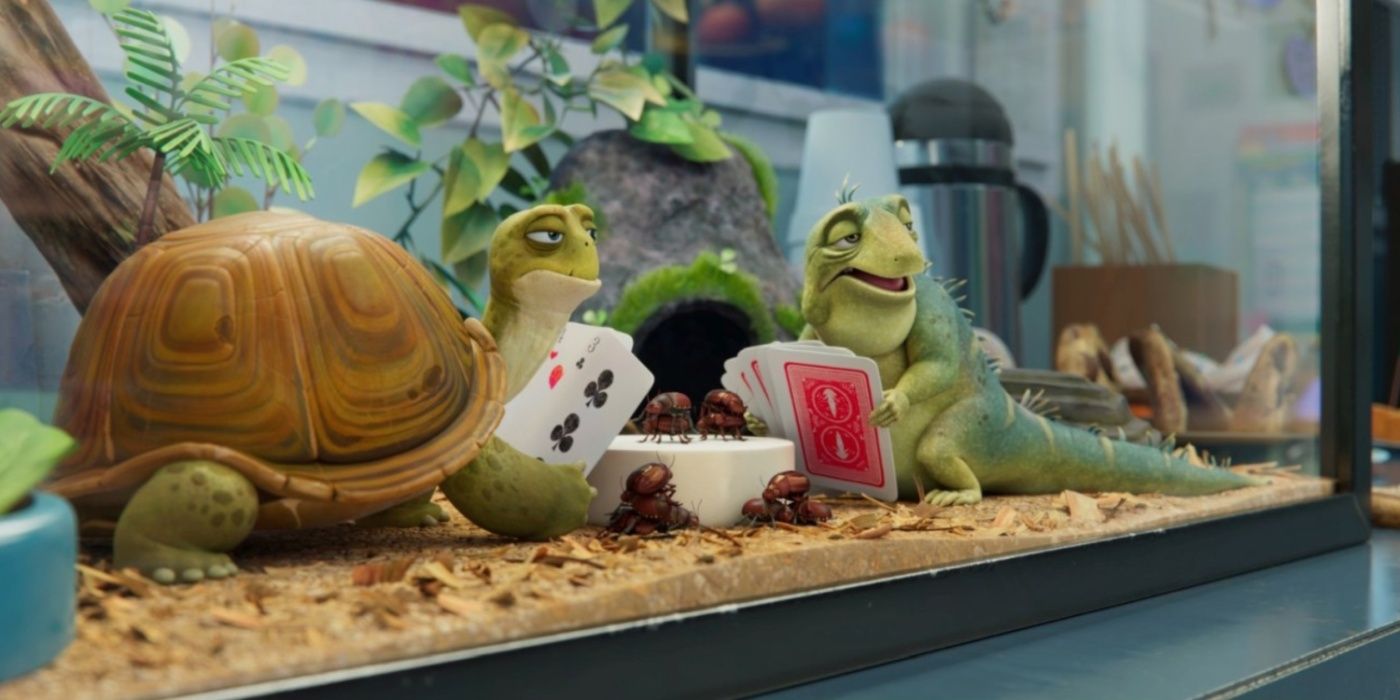 Leo and a turtle play cards in Leo