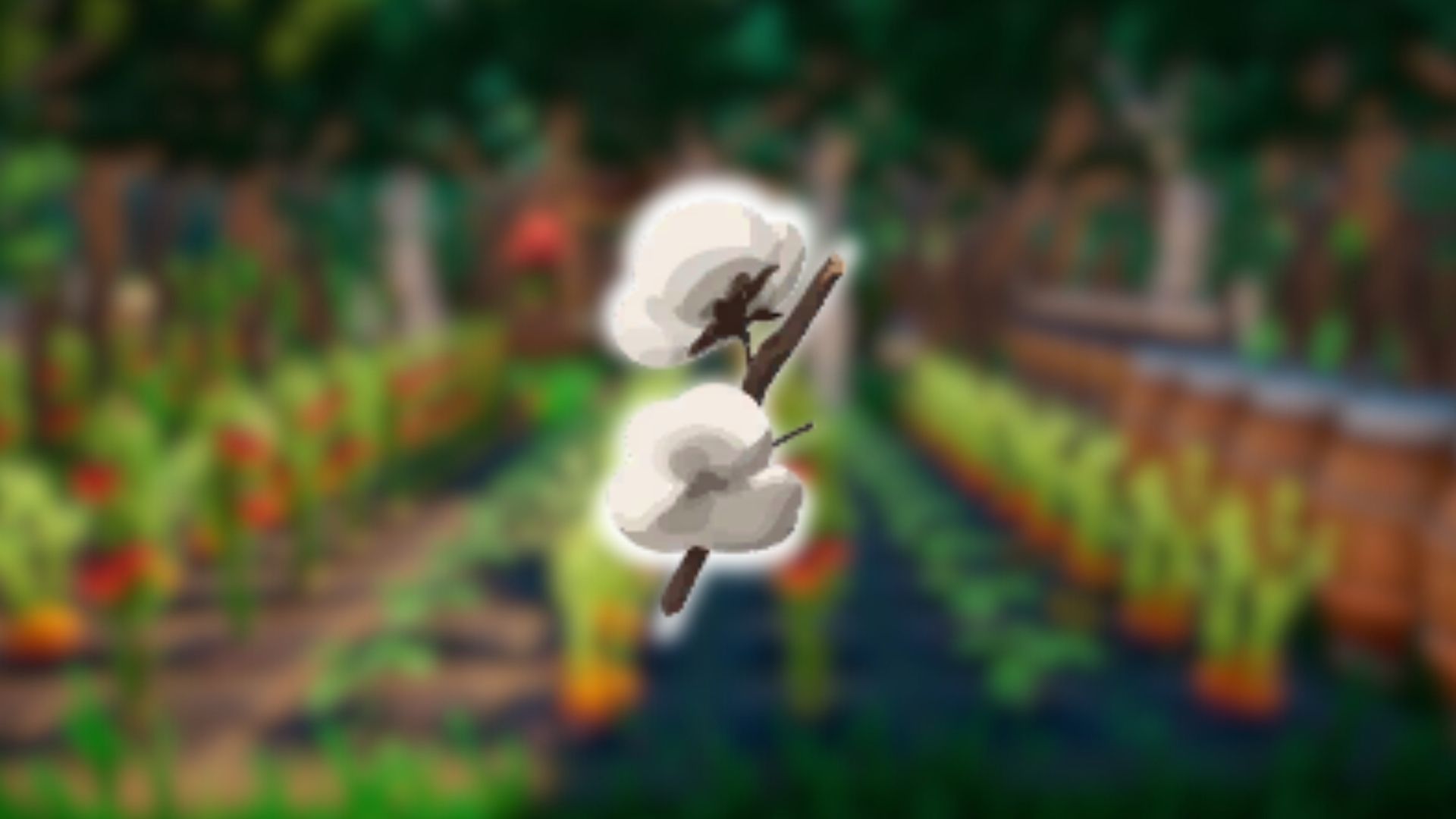 Cotton in Palia