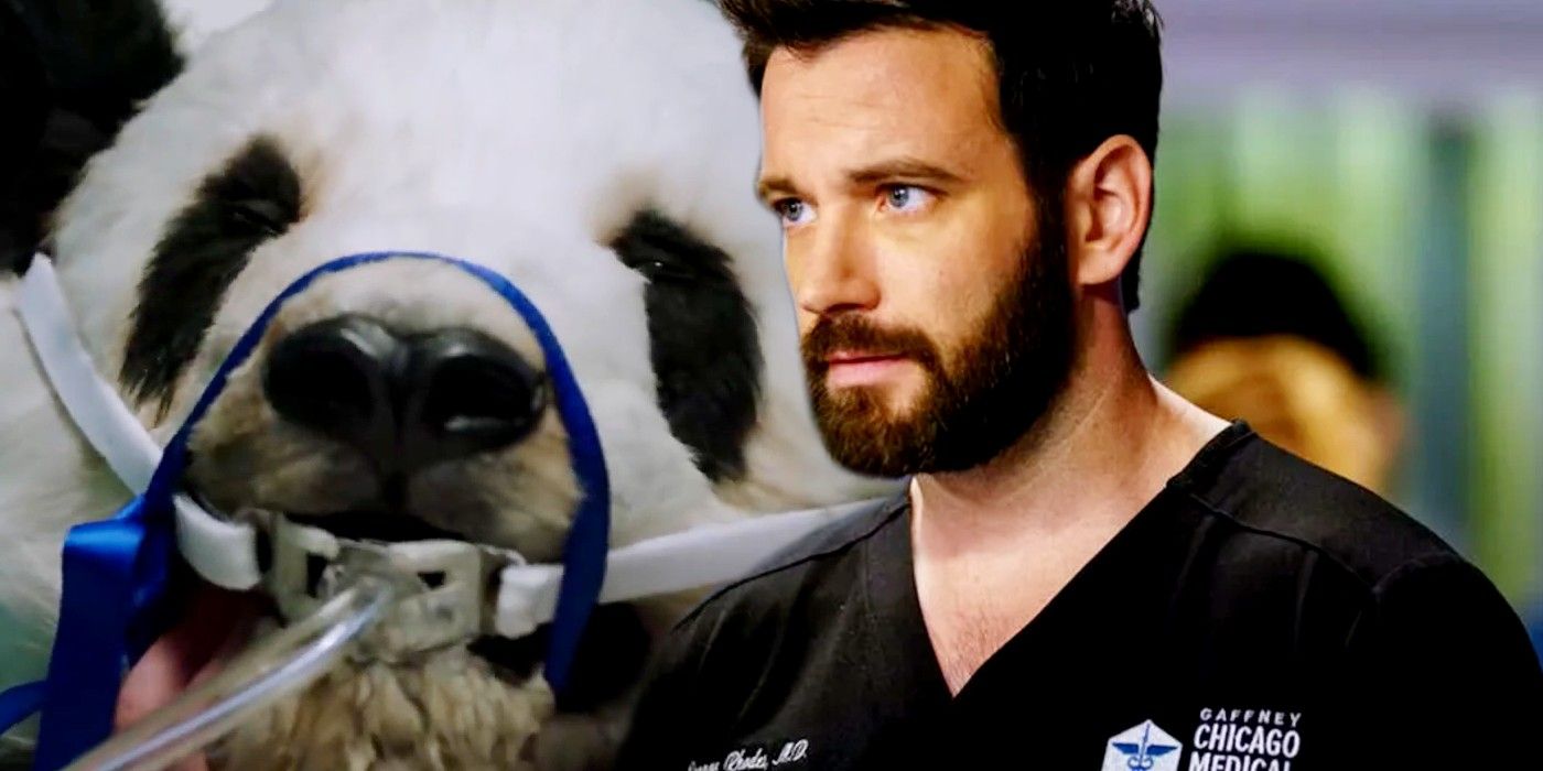 Custom image of an awake panda and Connor from Chicago Med