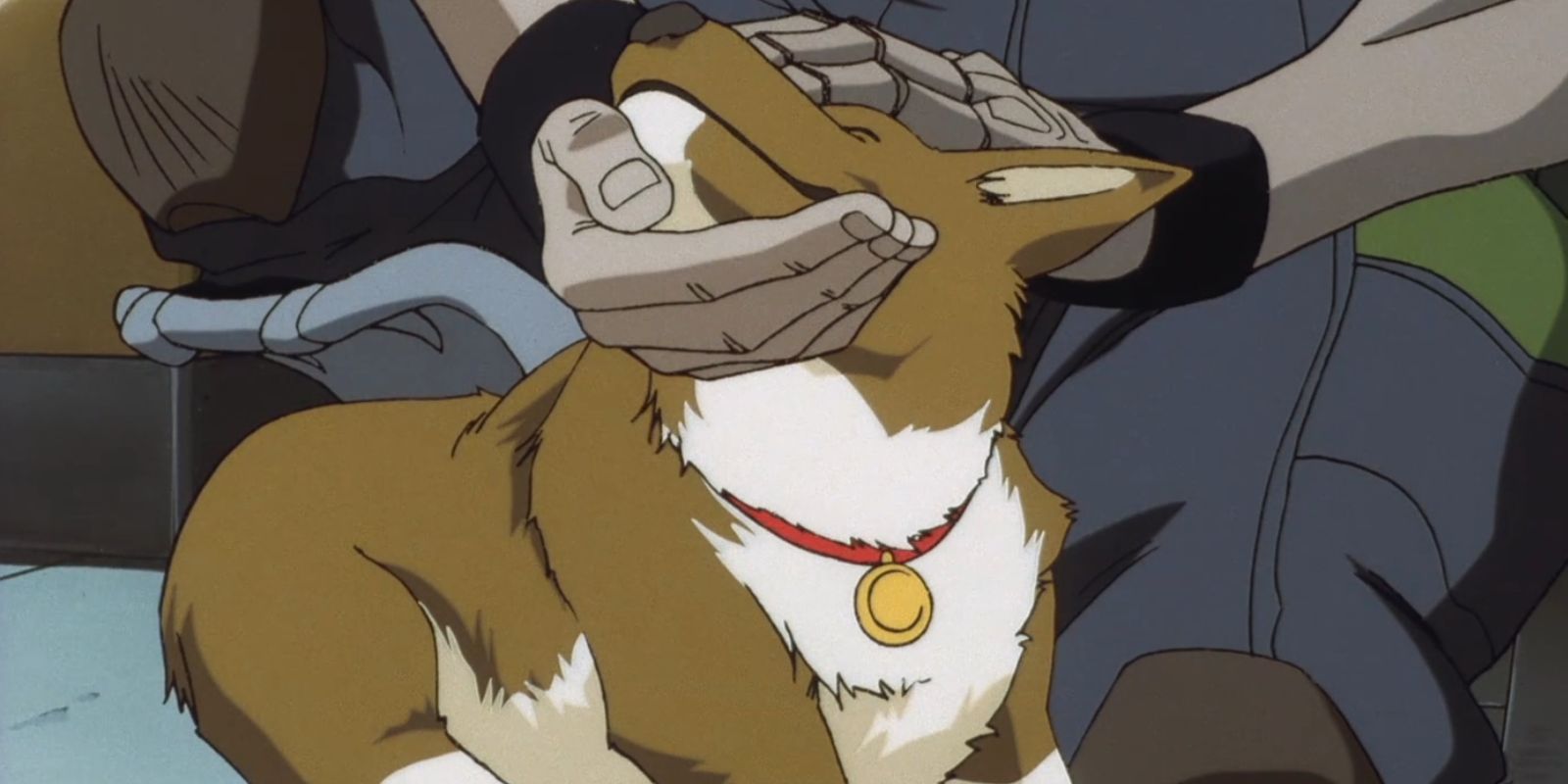 Ein from Cowboy Bebop getting pet.