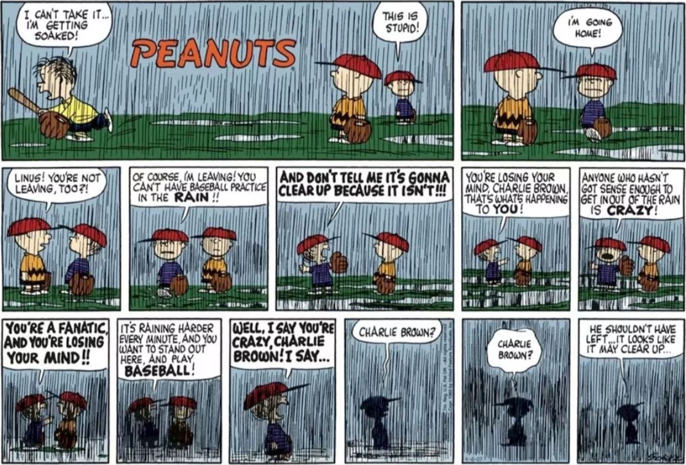 Fanatic Charlie Brown Peanuts