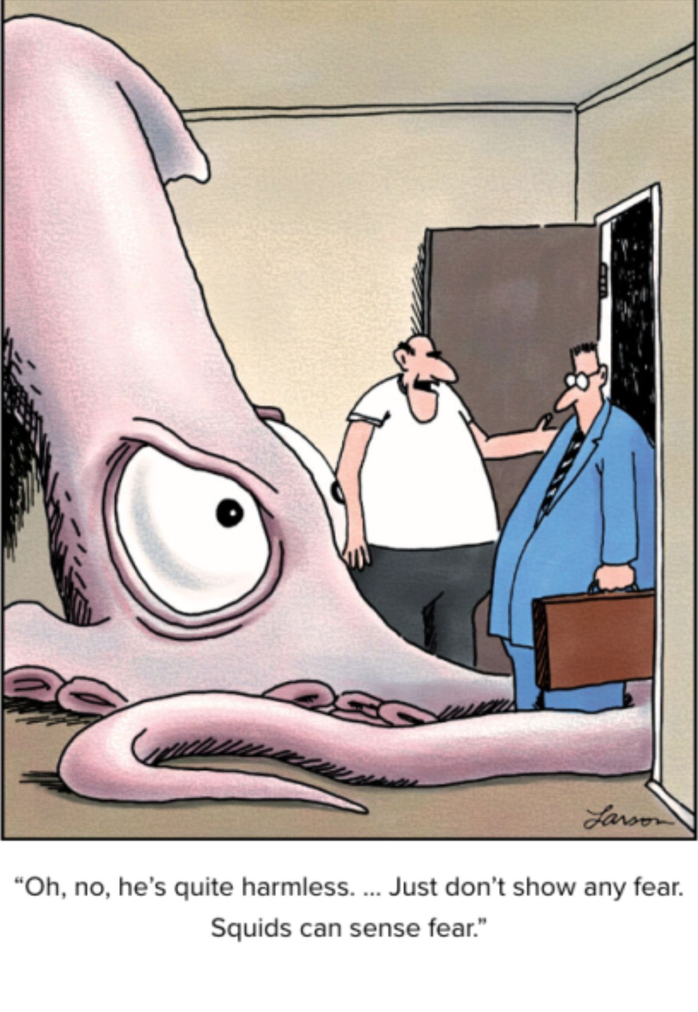 Far Side Giant Squid, show no fear