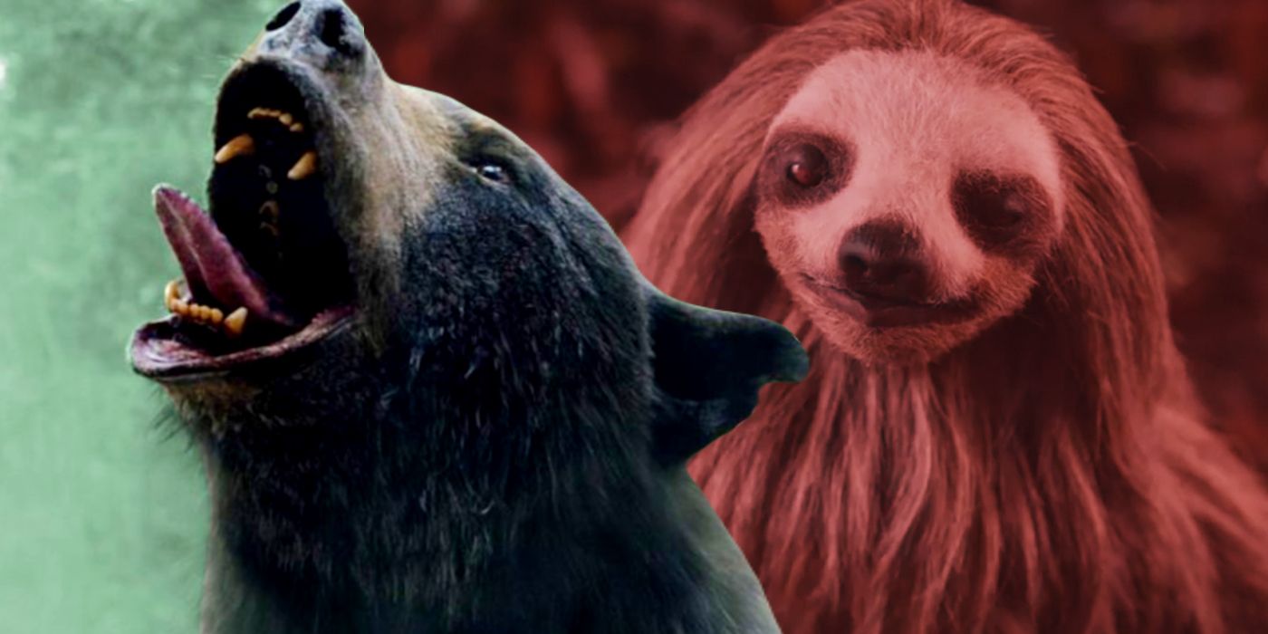 https://static1.srcdn.com/wordpress/wp-content/uploads/2023/08/forget-cocaine-bear-2023-has-an-even-more-exciting-killer-animal-movie-coming-soon.jpg